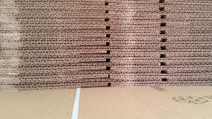 Кашони за пренасяне