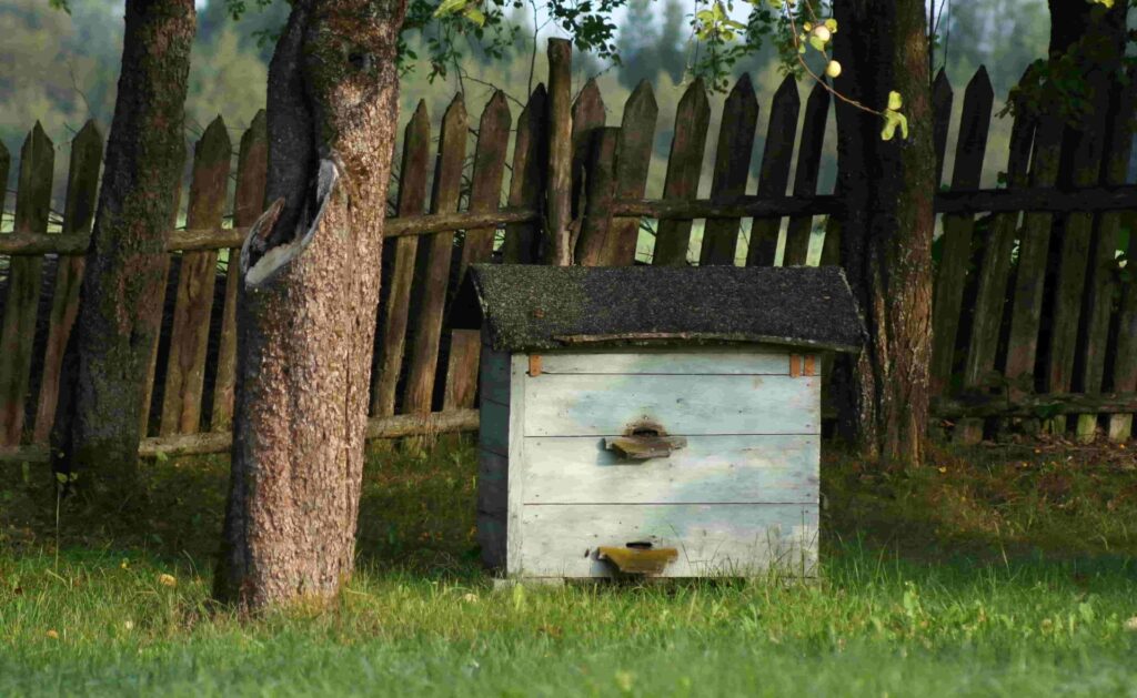 Предпазване от насекоми и гризачи