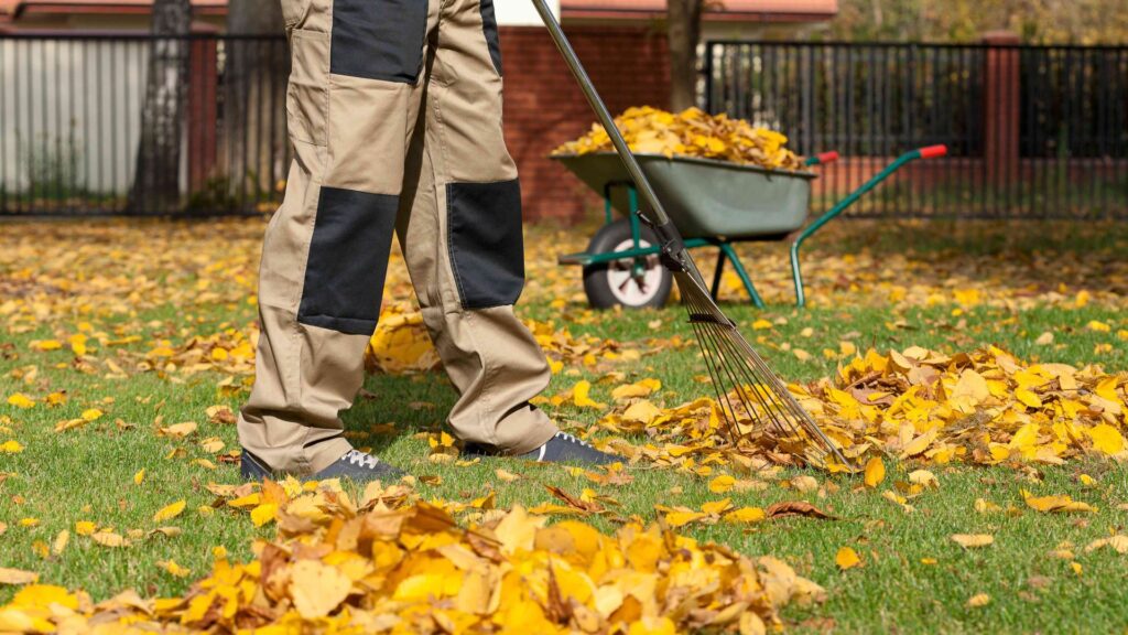 Почистване на двор София