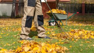 Почистване на двор София